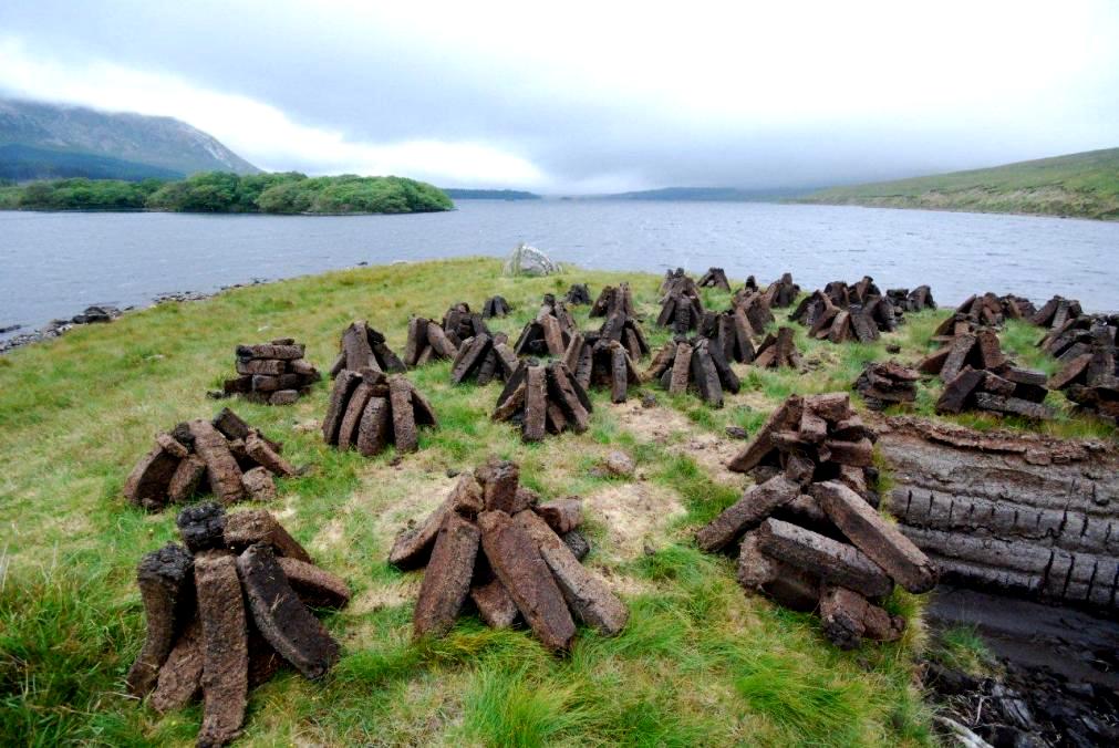Tourbière irlandaise-Patrick Arduen